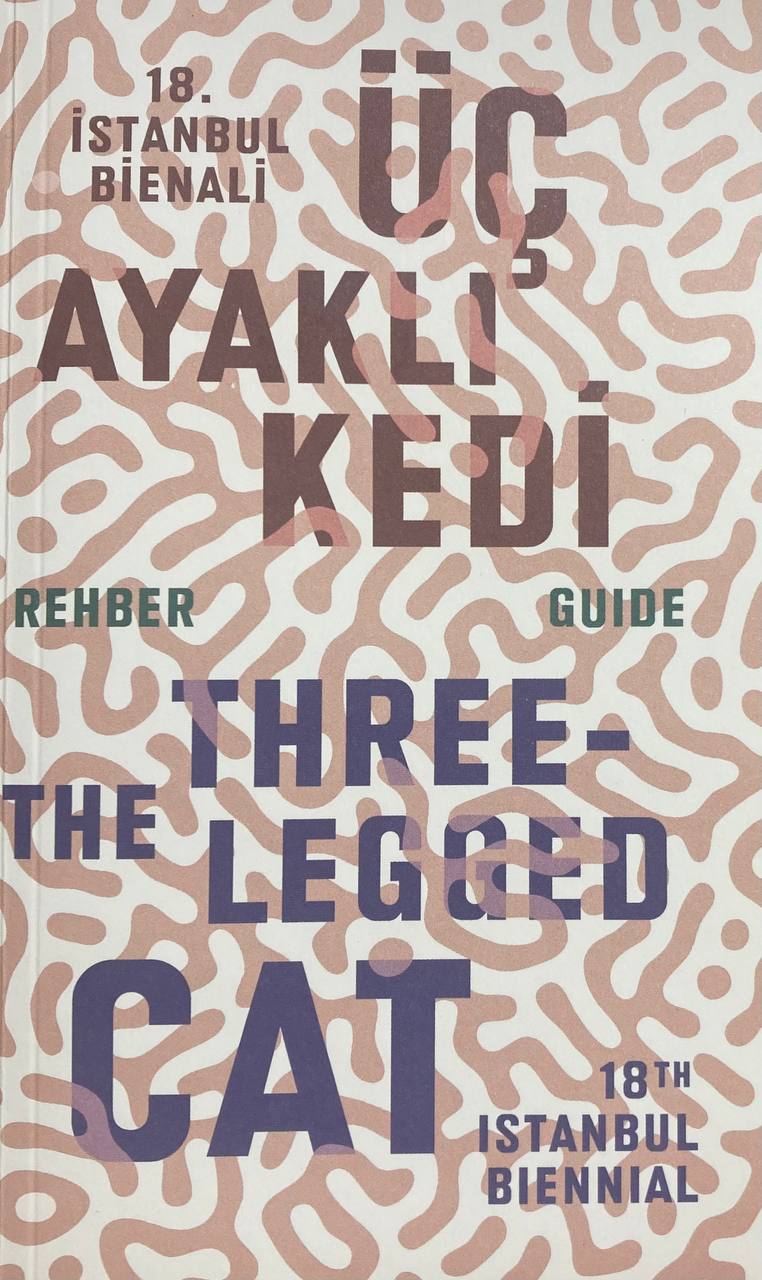    The Three-Legged Cat. 18th Istanbul Biennial