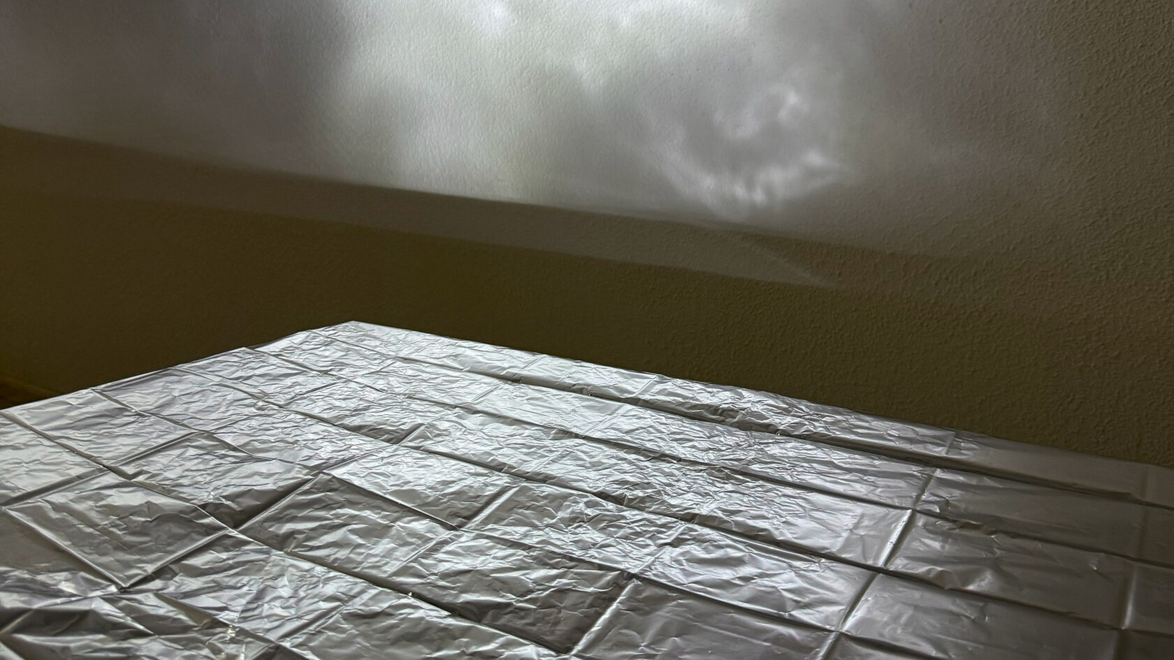 Выставка Школы проектной фотографии «Пока никто не видит»