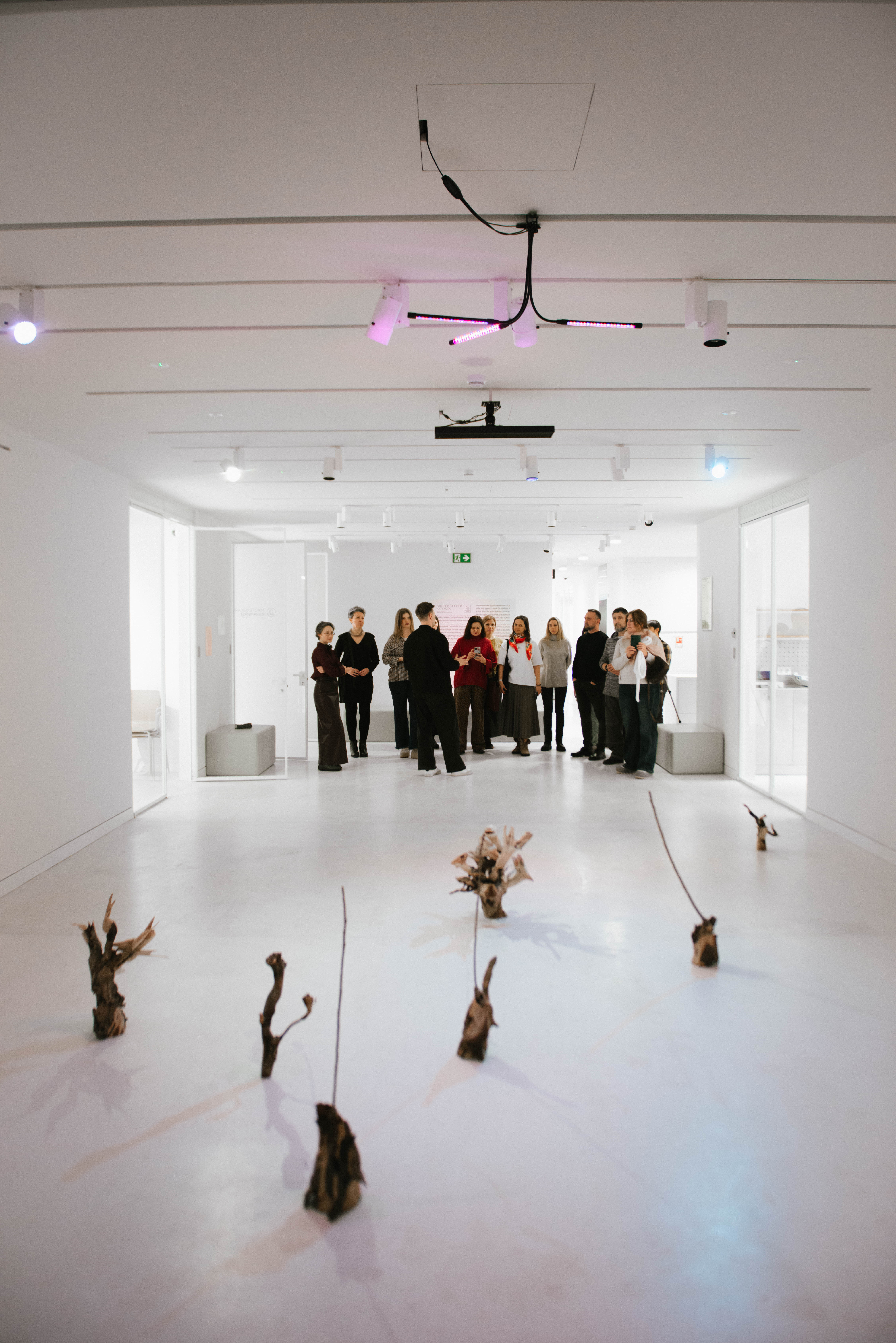 Медиация к выставке «Заговор тополей»